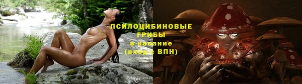 стафф Новозыбков