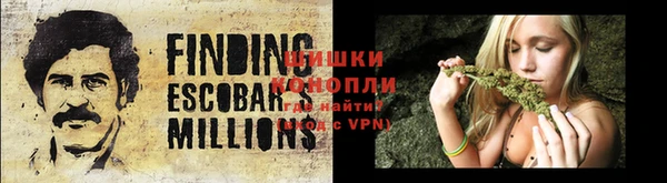 стафф Новозыбков