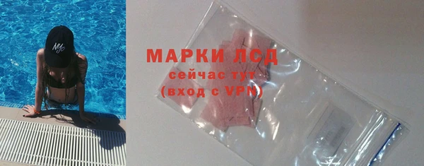 шишки Новокубанск