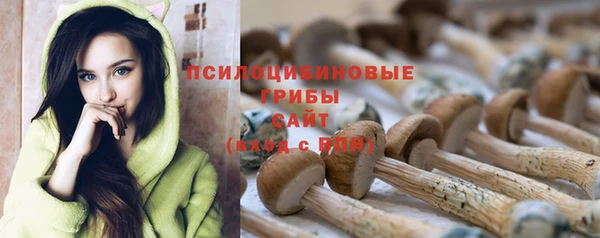 шишки Новокубанск