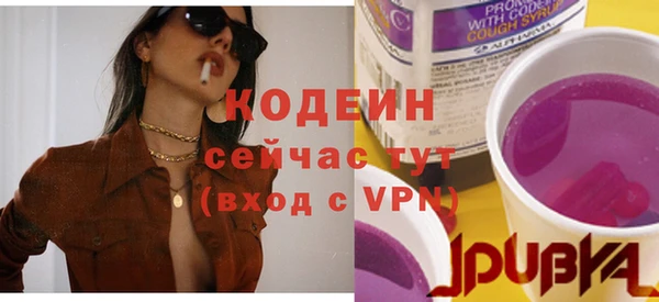 стаф Новодвинск