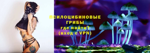 шишки Новокубанск