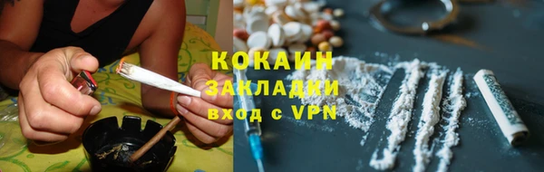 стаф Новодвинск