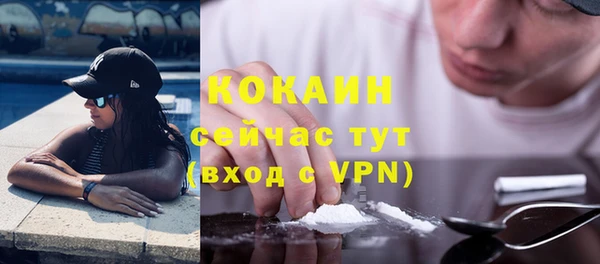 стафф Новозыбков