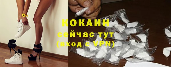 шишки Новокубанск