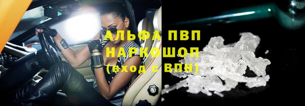 стаф Новодвинск