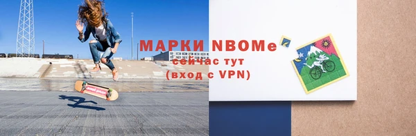 стаф Новодвинск