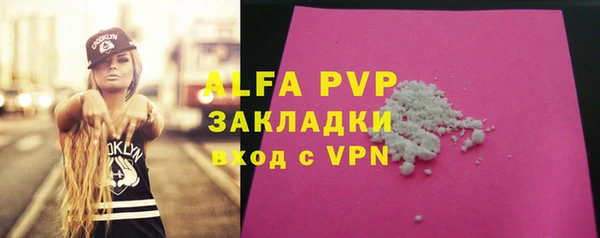 стафф Новозыбков