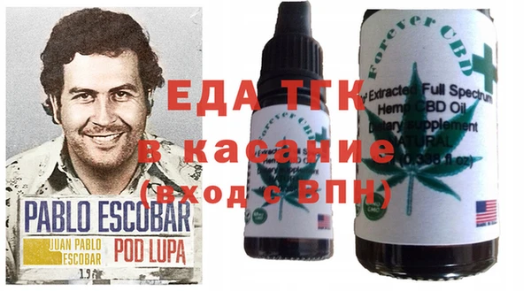 стафф Новозыбков