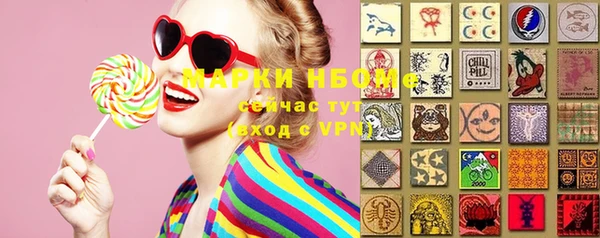 стаф Новодвинск