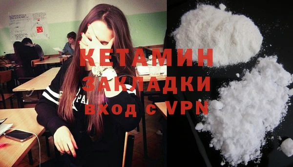 стаф Новодвинск