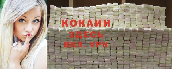 стафф Новозыбков