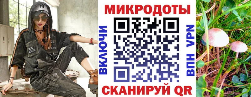 Псилоцибиновые грибы Psilocybe  Назарово 