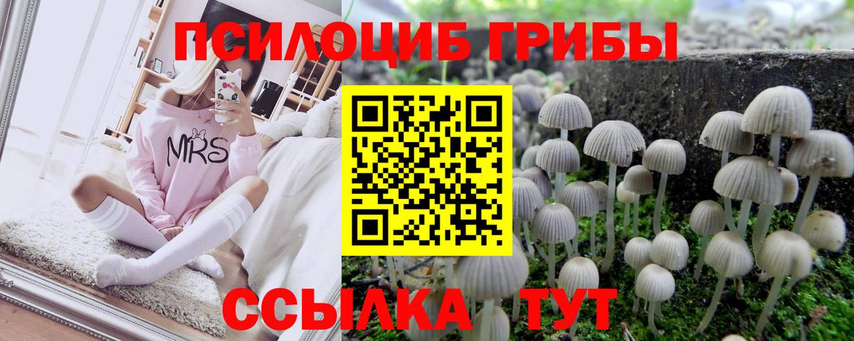 Псилоцибиновые грибы прущие грибы  Вход с VPN  Назарово  Галлюциногенные грибы Cubensis 