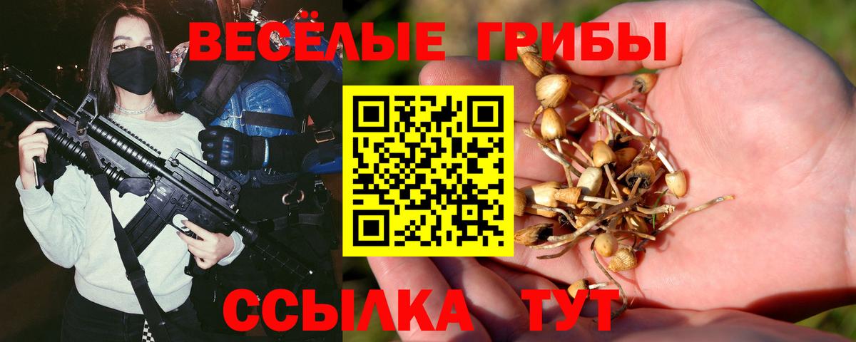 Псилоцибиновые грибы Cubensis Назарово