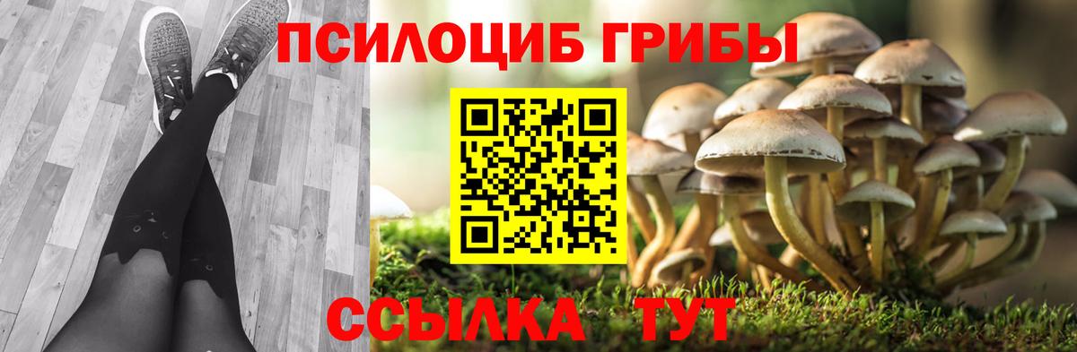 Псилоцибиновые грибы Magic Shrooms Назарово
