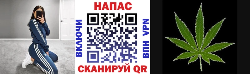 Канабис MAZAR  как найти   Назарово 